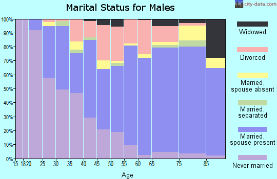 Zip code 85302 marital status for males