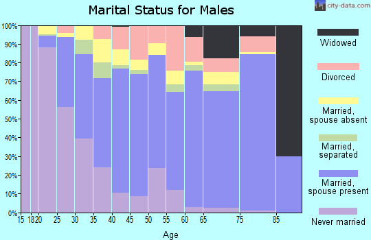 Zip code 85303 marital status for males