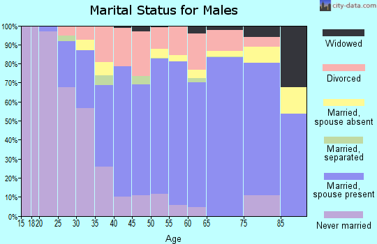 Zip code 85304 marital status for males