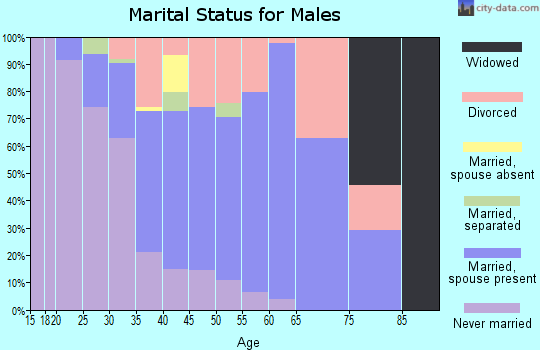 Zip code 85305 marital status for males