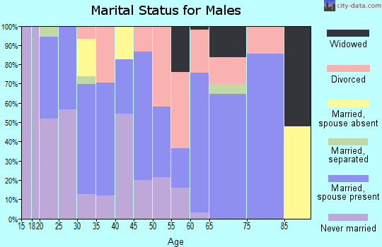 Zip code 85307 marital status for males