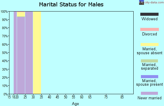 Zip code 85309 marital status for males