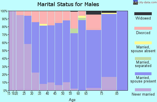 Zip code 85310 marital status for males