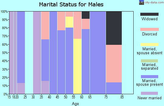 Zip code 85322 marital status for males