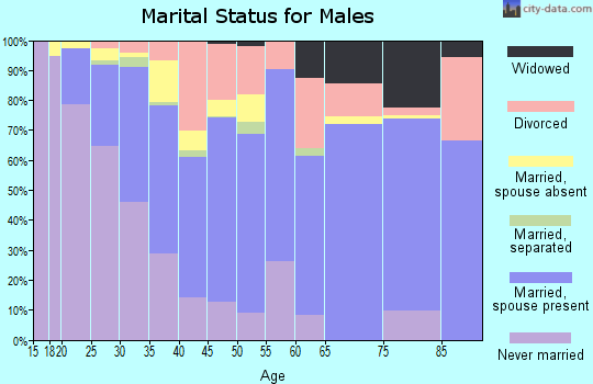 Zip code 85323 marital status for males