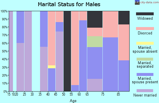 Zip code 85324 marital status for males