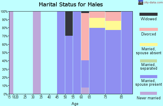 Zip code 85325 marital status for males