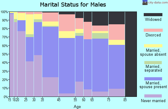 Zip code 85329 marital status for males