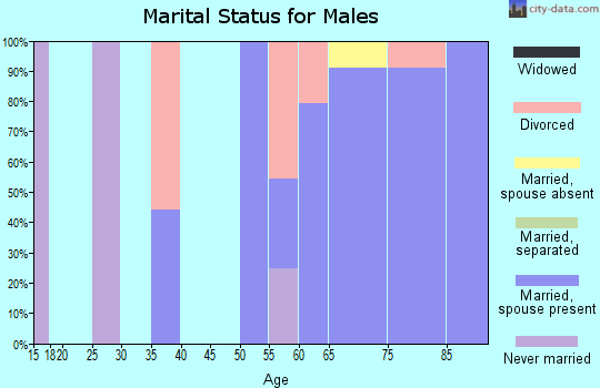 Zip code 85332 marital status for males