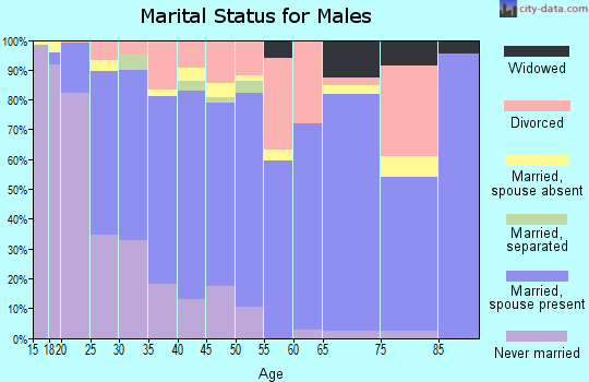Zip code 85335 marital status for males