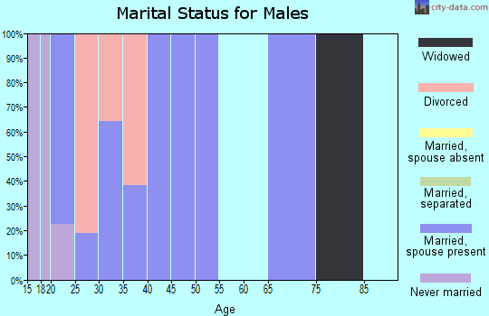 Zip code 85336 marital status for males