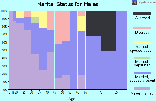 Zip code 85337 marital status for males
