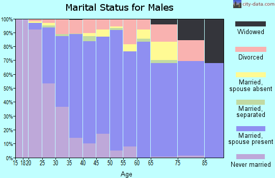 Zip code 85338 marital status for males