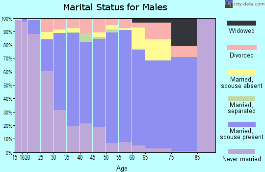 Zip code 85339 marital status for males