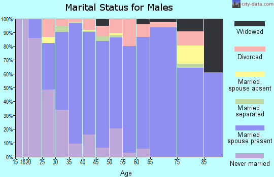 Zip code 85340 marital status for males