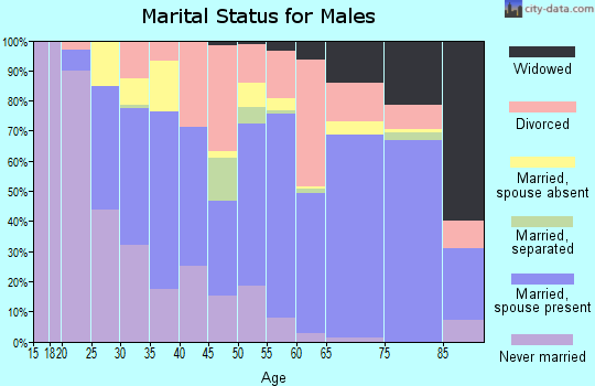 Zip code 85344 marital status for males