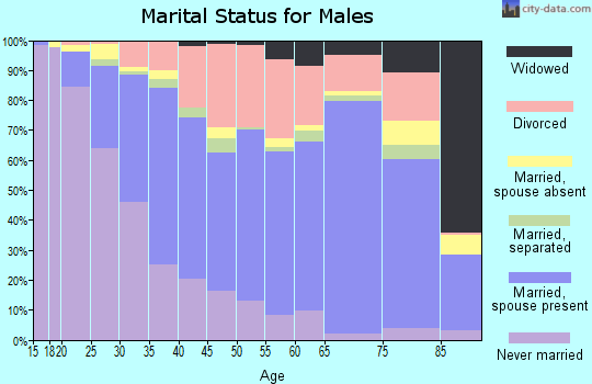 Zip code 85345 marital status for males
