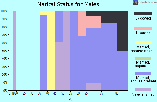 Zip code 85346 marital status for males
