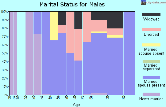 Zip code 85348 marital status for males
