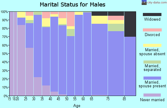 Zip code 85349 marital status for males