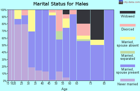 Zip code 85354 marital status for males