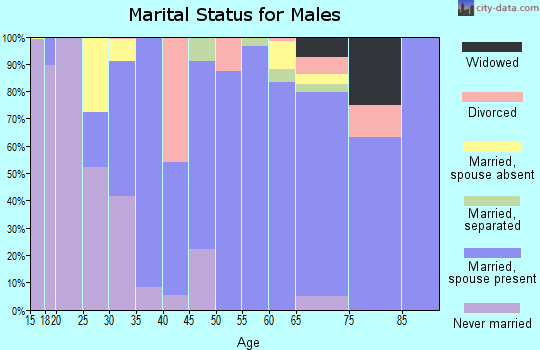 Zip code 85356 marital status for males