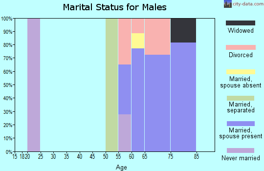 Zip code 85362 marital status for males
