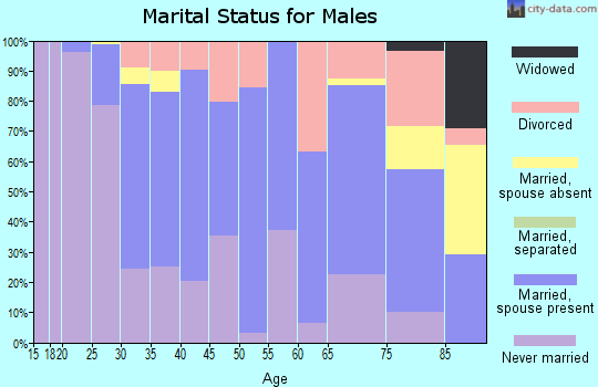 Zip code 85363 marital status for males