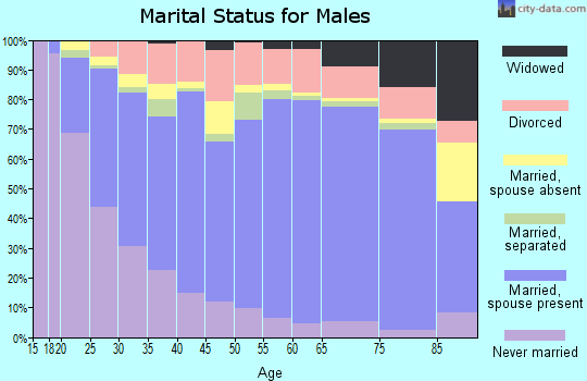 Zip code 85364 marital status for males