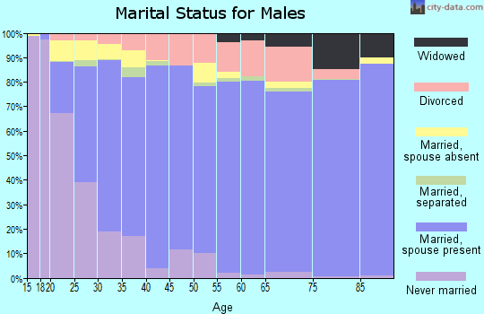 Zip code 85365 marital status for males