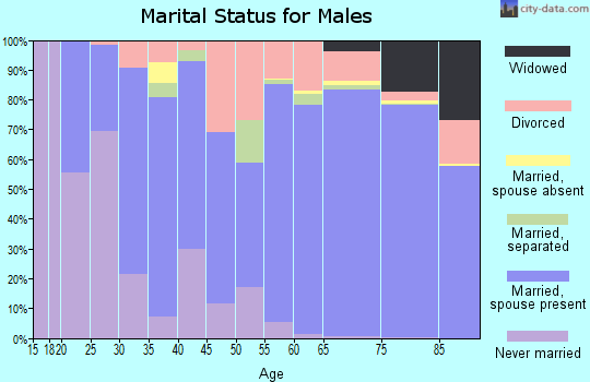 Zip code 85367 marital status for males
