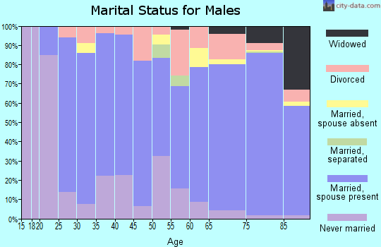 Zip code 85373 marital status for males