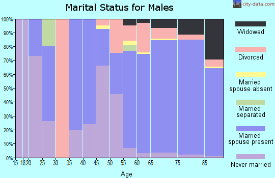 Zip code 85375 marital status for males