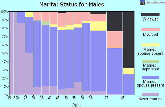 Zip code 85379 marital status for males