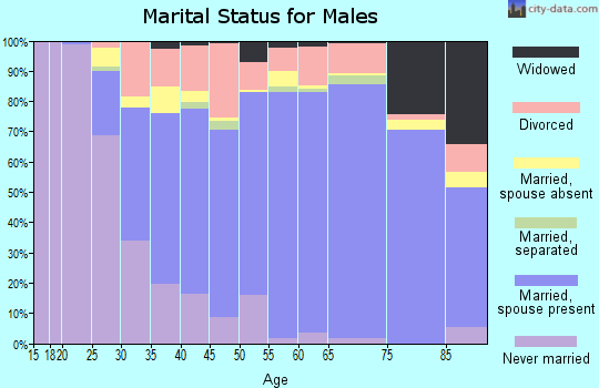 Zip code 85381 marital status for males