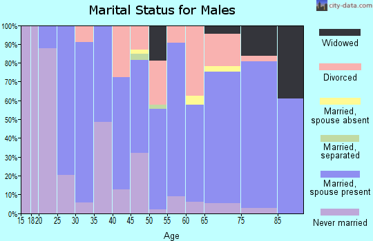 Zip code 85390 marital status for males