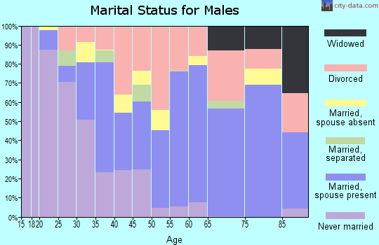 Zip code 85501 marital status for males