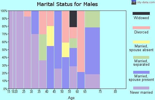 Zip code 85530 marital status for males
