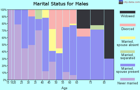 Zip code 85533 marital status for males