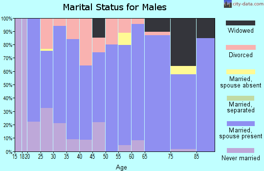 Zip code 85534 marital status for males
