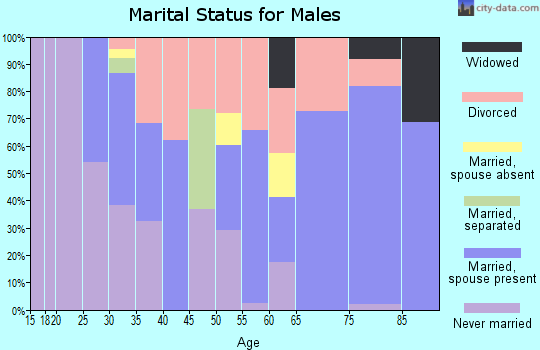 Zip code 85539 marital status for males