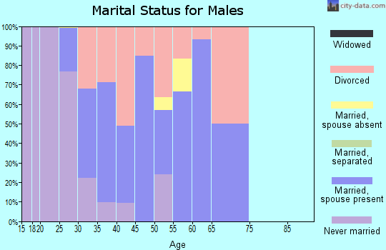 Zip code 85540 marital status for males