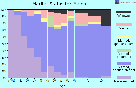 Zip code 85541 marital status for males