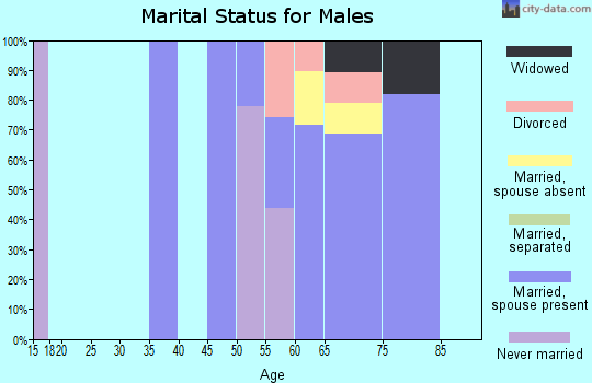 Zip code 85544 marital status for males
