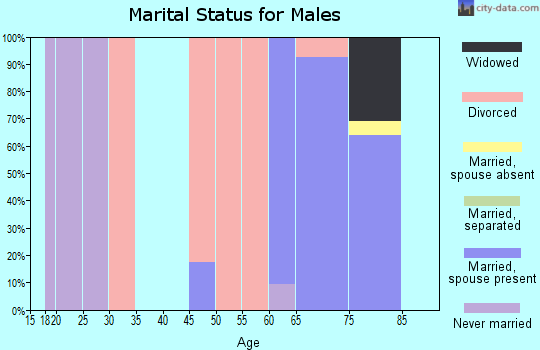 Zip code 85545 marital status for males