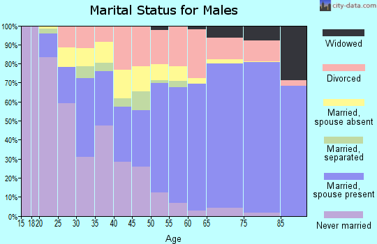 Zip code 85546 marital status for males