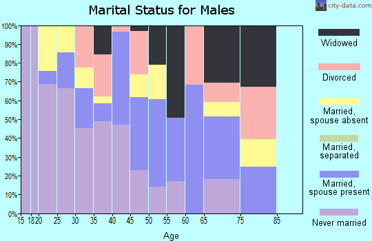 Zip code 85550 marital status for males