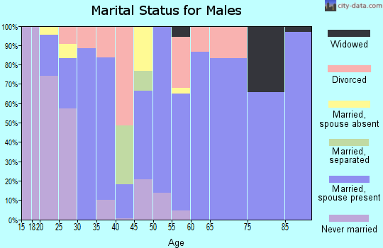 Zip code 85552 marital status for males