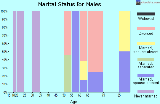 Zip code 85554 marital status for males