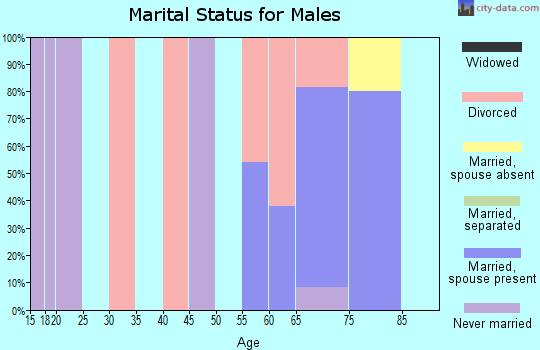 Zip code 85601 marital status for males